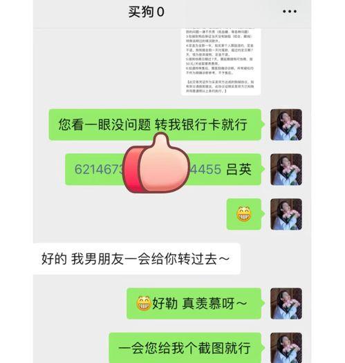 女生发吃瓜的表情怎么回复