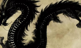 龙的视频,探寻神秘生物的传奇故事