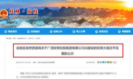 临桂机会视频完整版,视频完整版深度解析